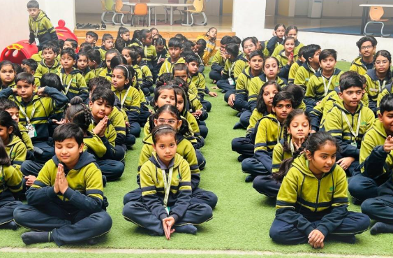 Green Berry World School 8