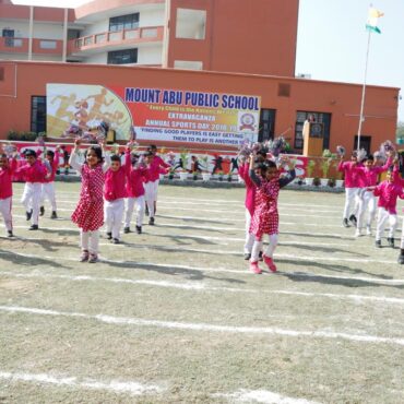 Mount Abu Public School 6