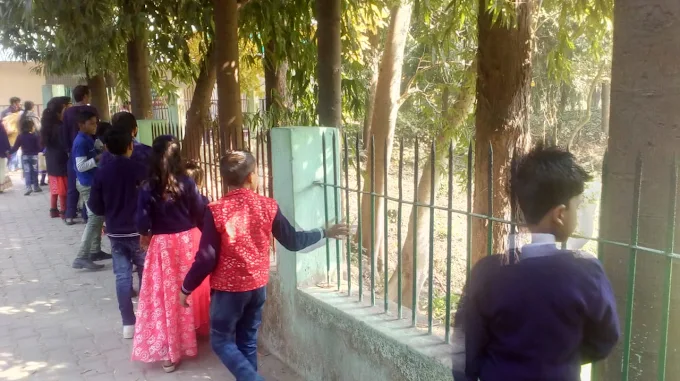 Lucknow convent school 8