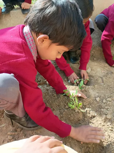 Lucknow Global school 2