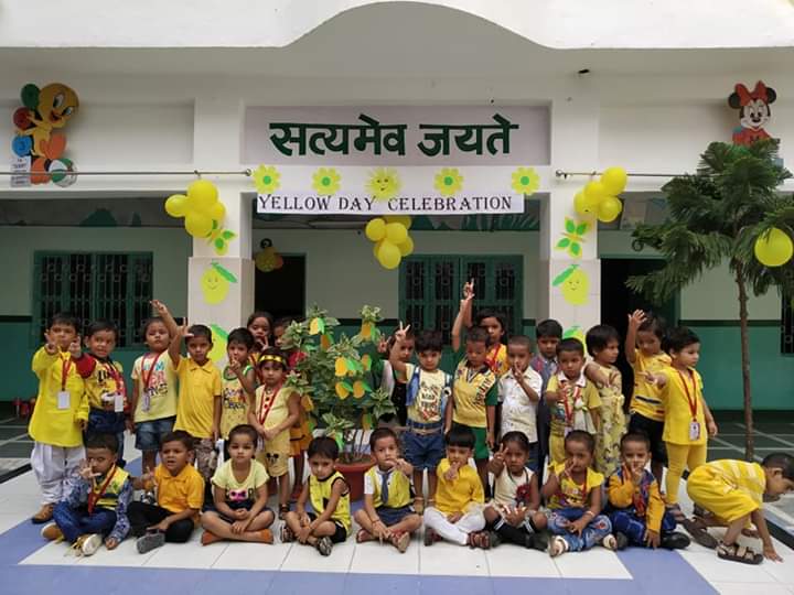 New Public College  3