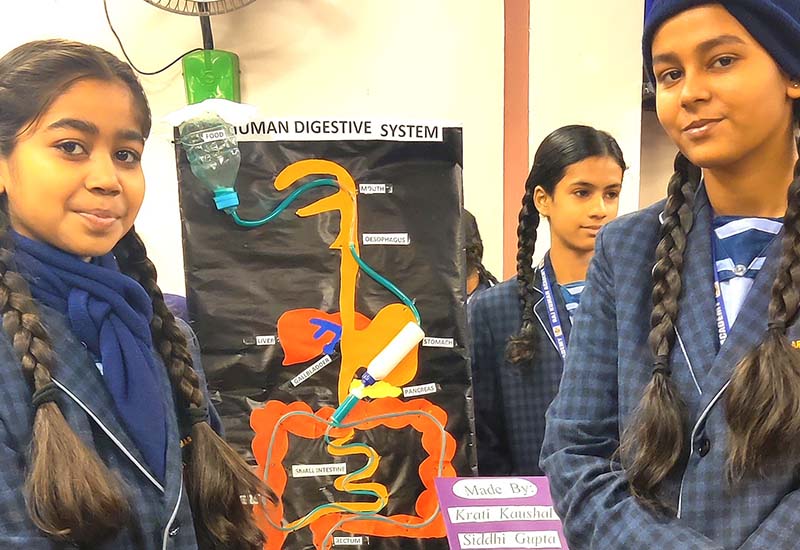 Raj Kumar Academy 19