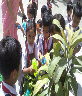 Rani Laxmi Bai Memorial School 11