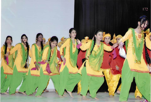 Rani Laxmi Bai Memorial Senior Secondary School 17