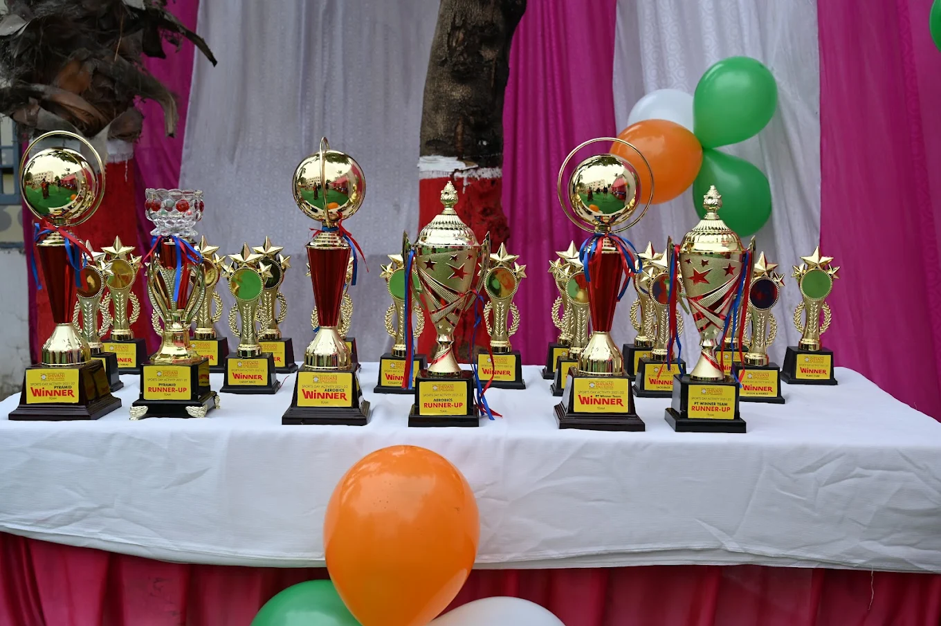 Shivani Public School 10