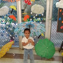 Shri Ramswaroop Memorial Public School 12