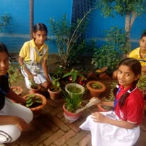 St. Mary's Inter College 12
