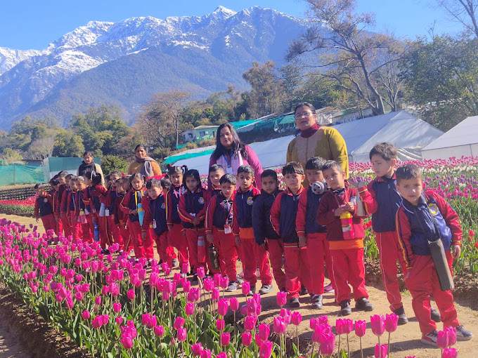 Crescent Public School 8