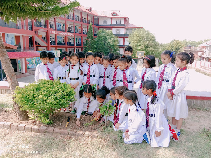 Crescent Public School 11