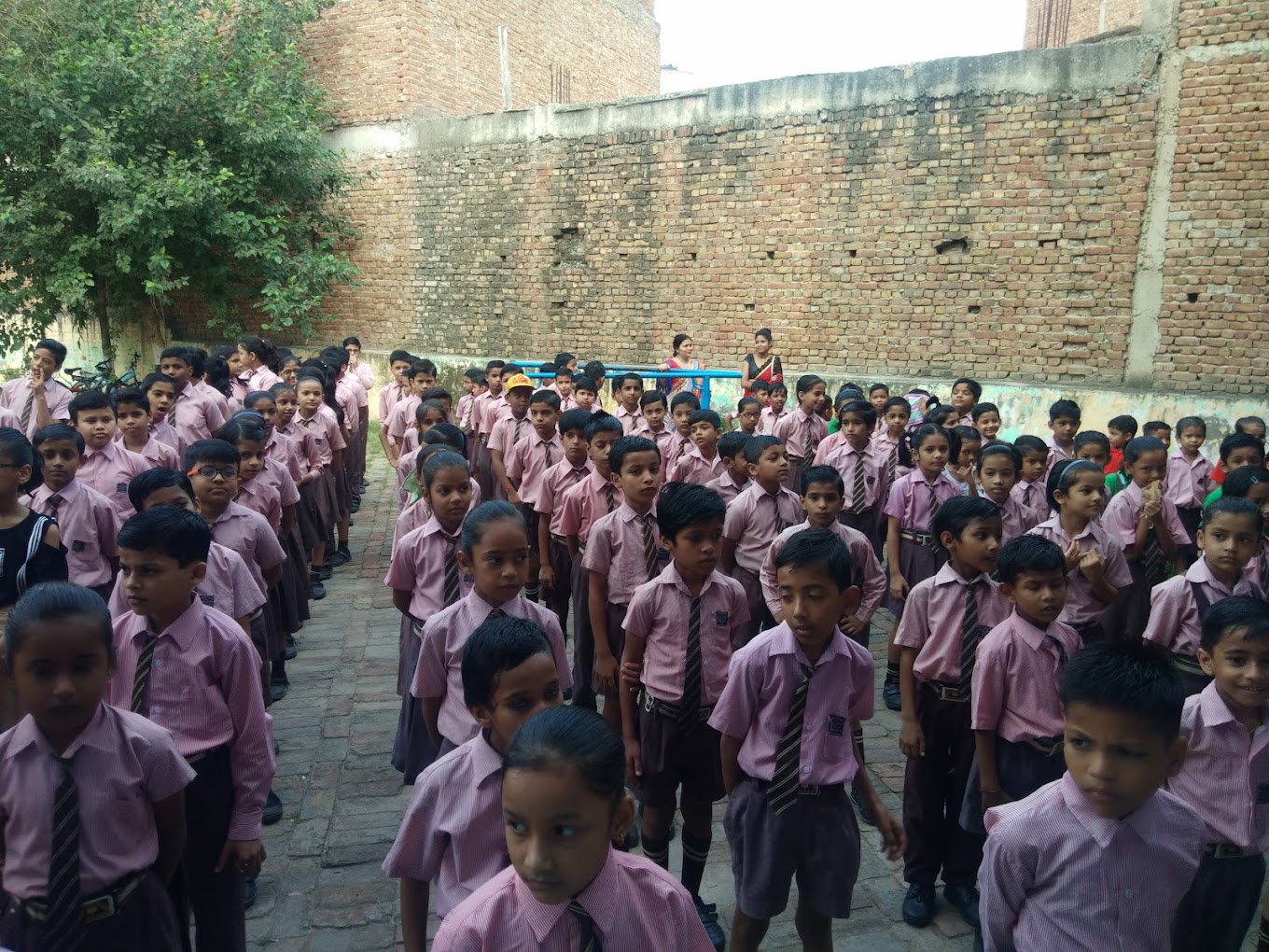 Aurobindo Public School campus 3