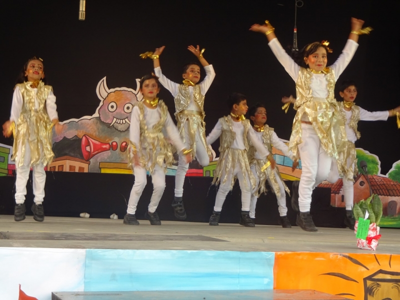 Delhi Public School 4
