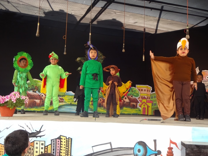 Delhi Public School 10