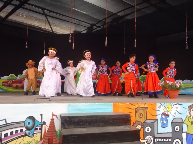 Delhi Public School 16