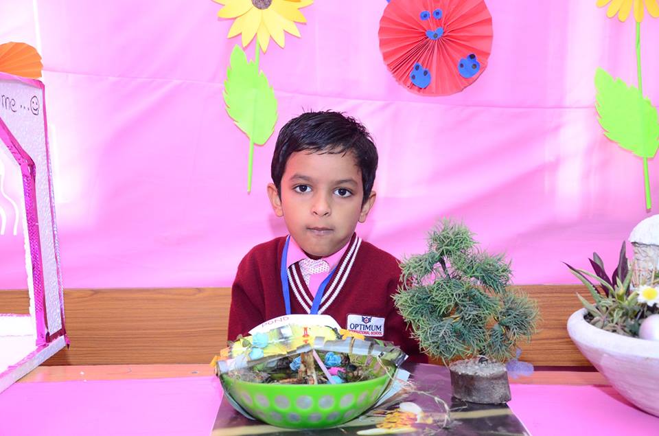 Optimum International School 16