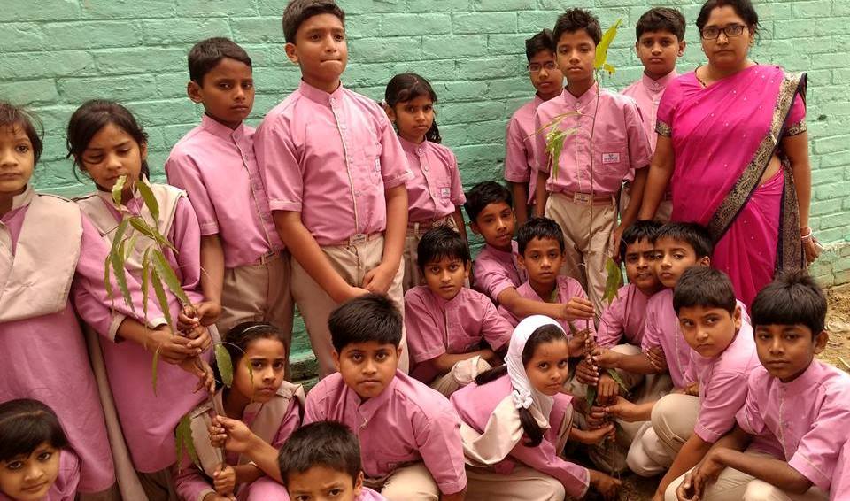Optimum International School 28
