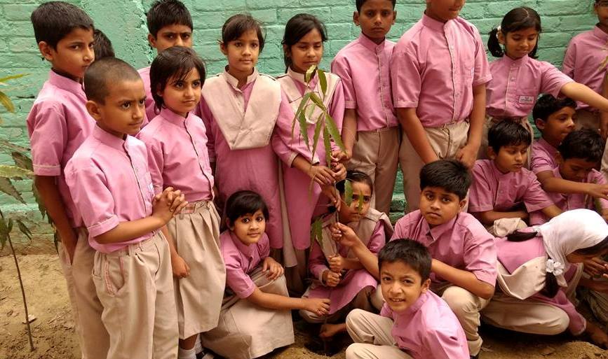 Optimum International School 29