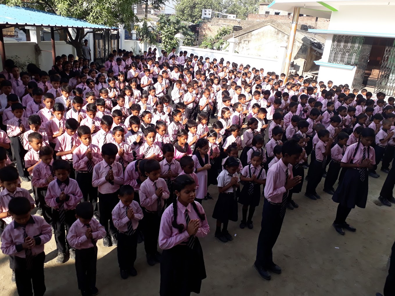 Reliable World School 11