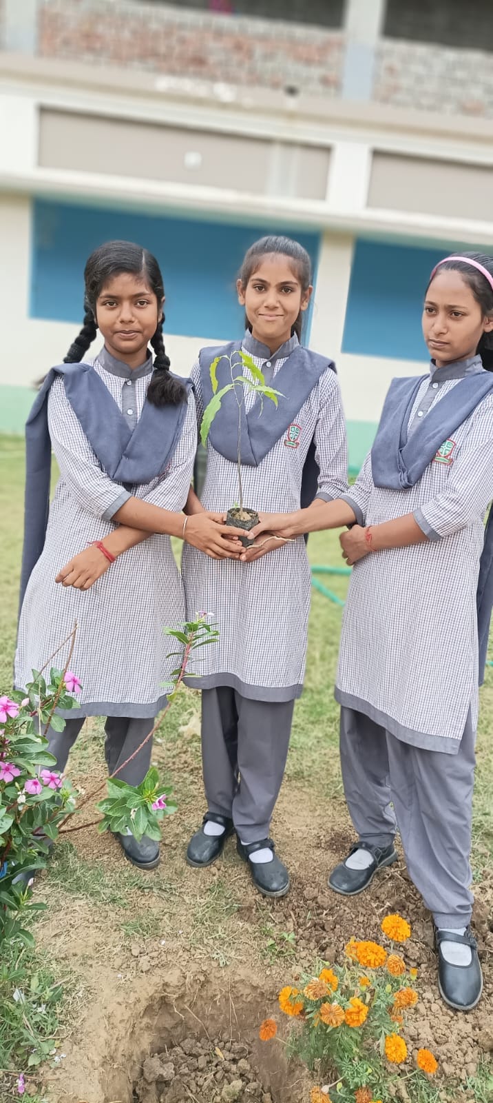 Spring Hill Public School 2