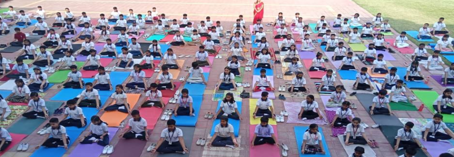 BSM Public School 21