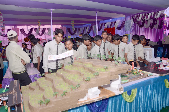 Vikas Public School 8