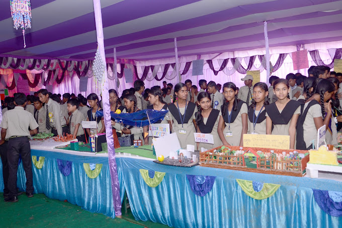 Vikas Public School 10