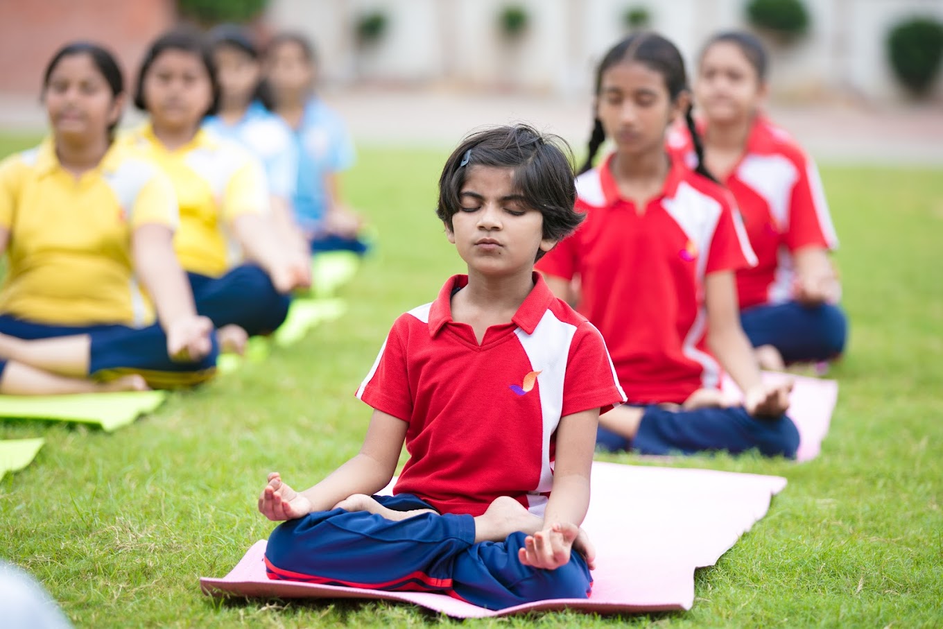 Seth M. R. Jaipuria School 3