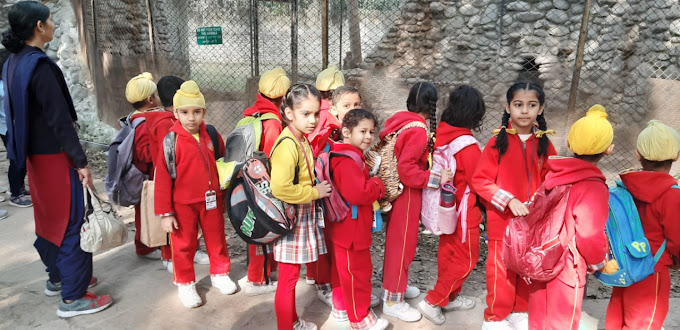 Saint Soldier International Convent School 13