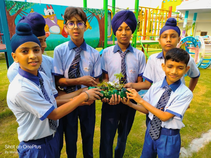Alliance International School 10