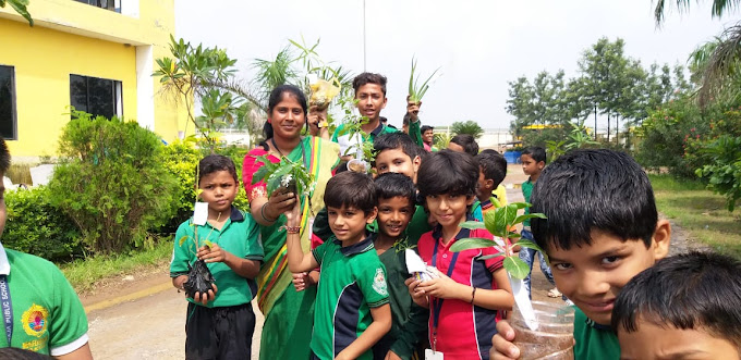Maharaja Public School 11