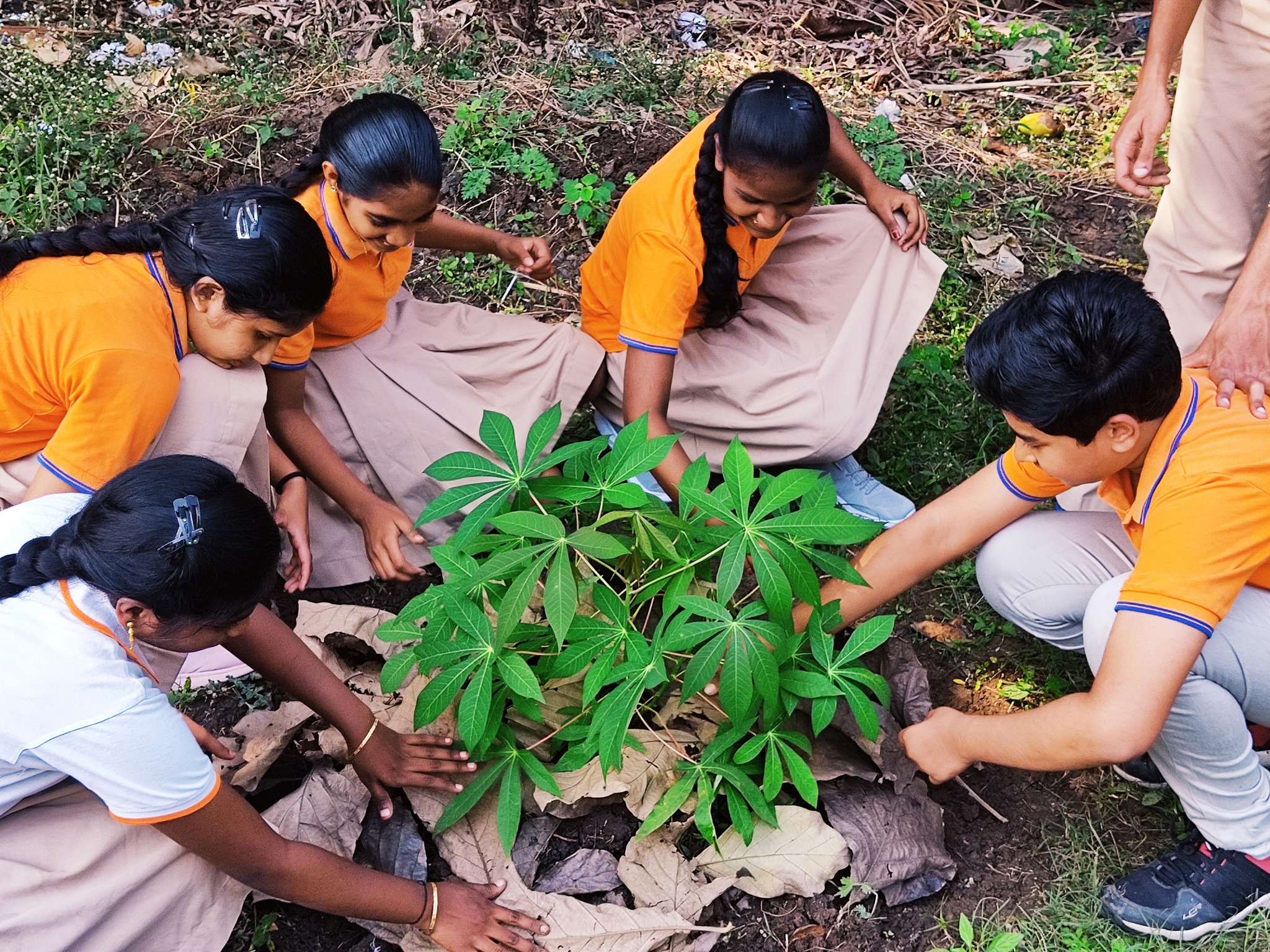 Paramjyoti School 12