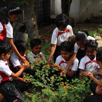 ABACUS International Montessori School 29