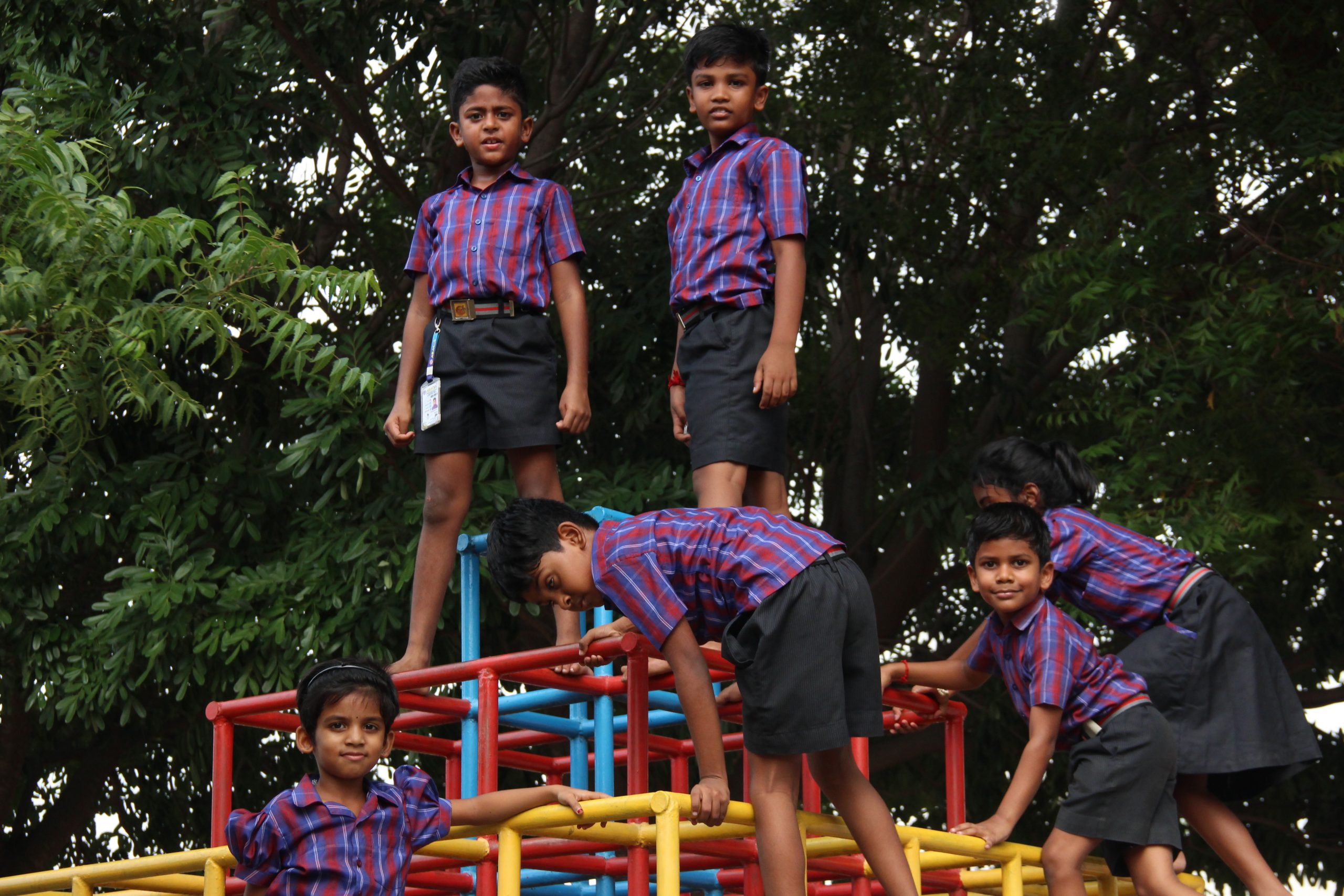 Abacus Montessori School gallery 14