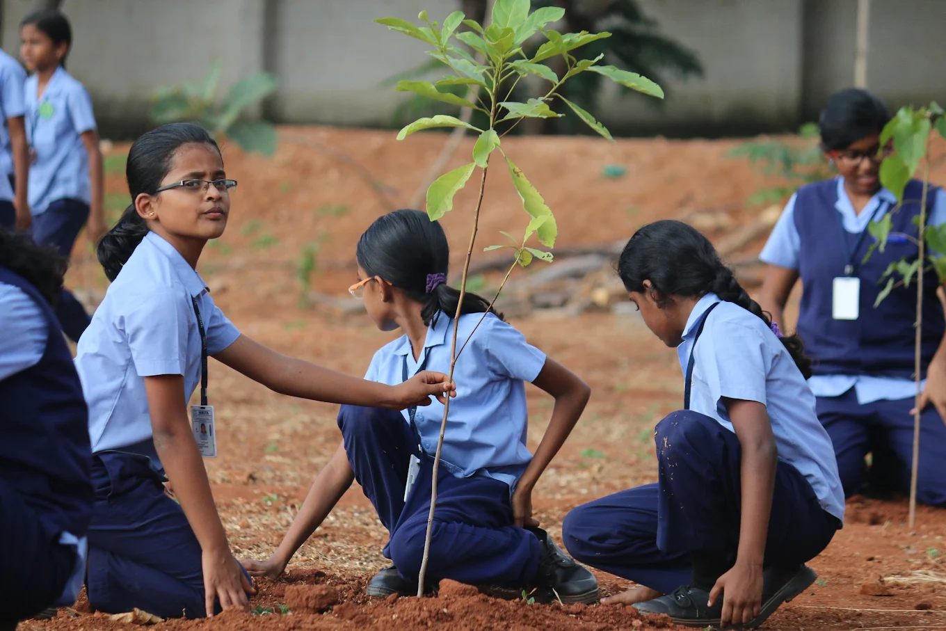 KALVI Global Matriculation School 5