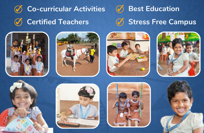 PGP International School 3
