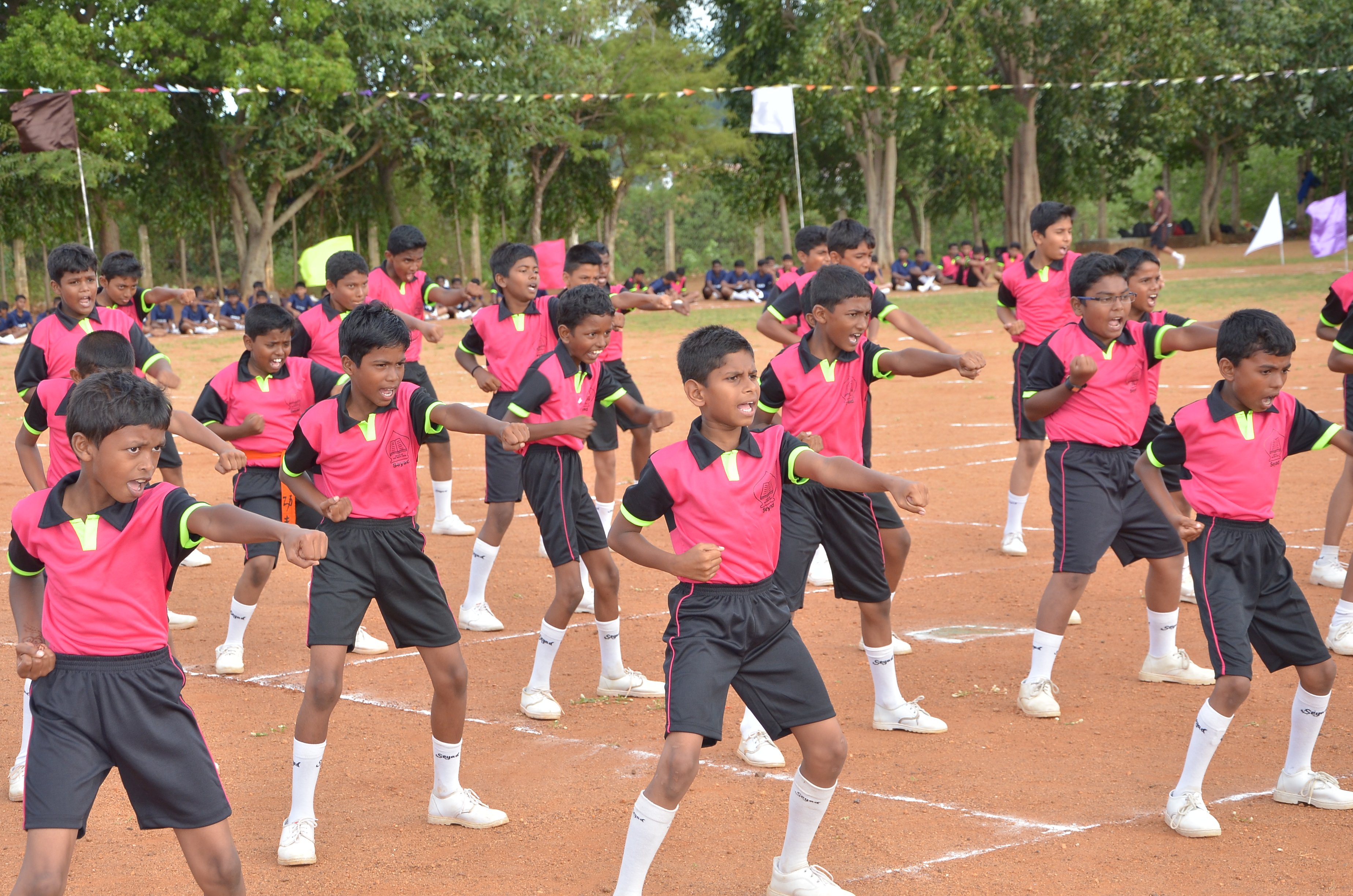 Seyad Residential Matric Hr Sec School 15
