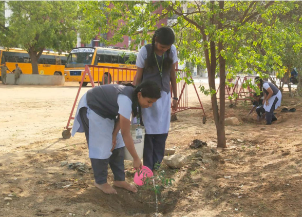 Trinity International School 3