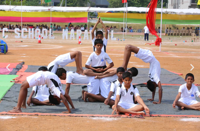 Delhi Public School 5
