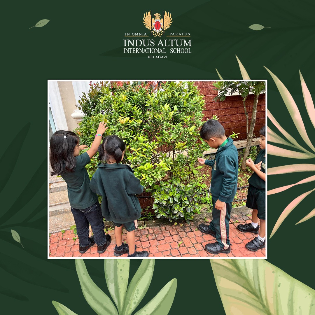 Indus Altum International School 9