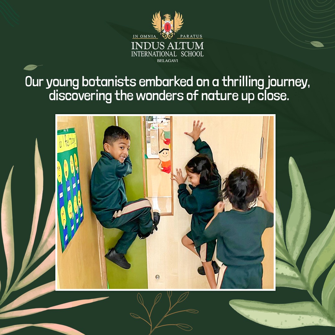 Indus Altum International School 12