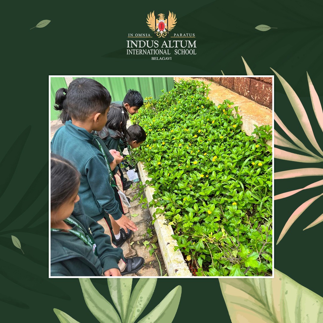 Indus Altum International School 11