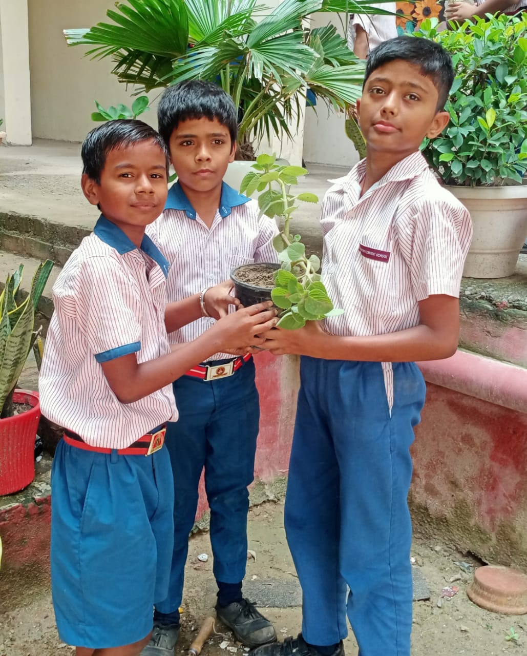 Upadhyay Convent School campus photo 18 of 18 — Kadipur