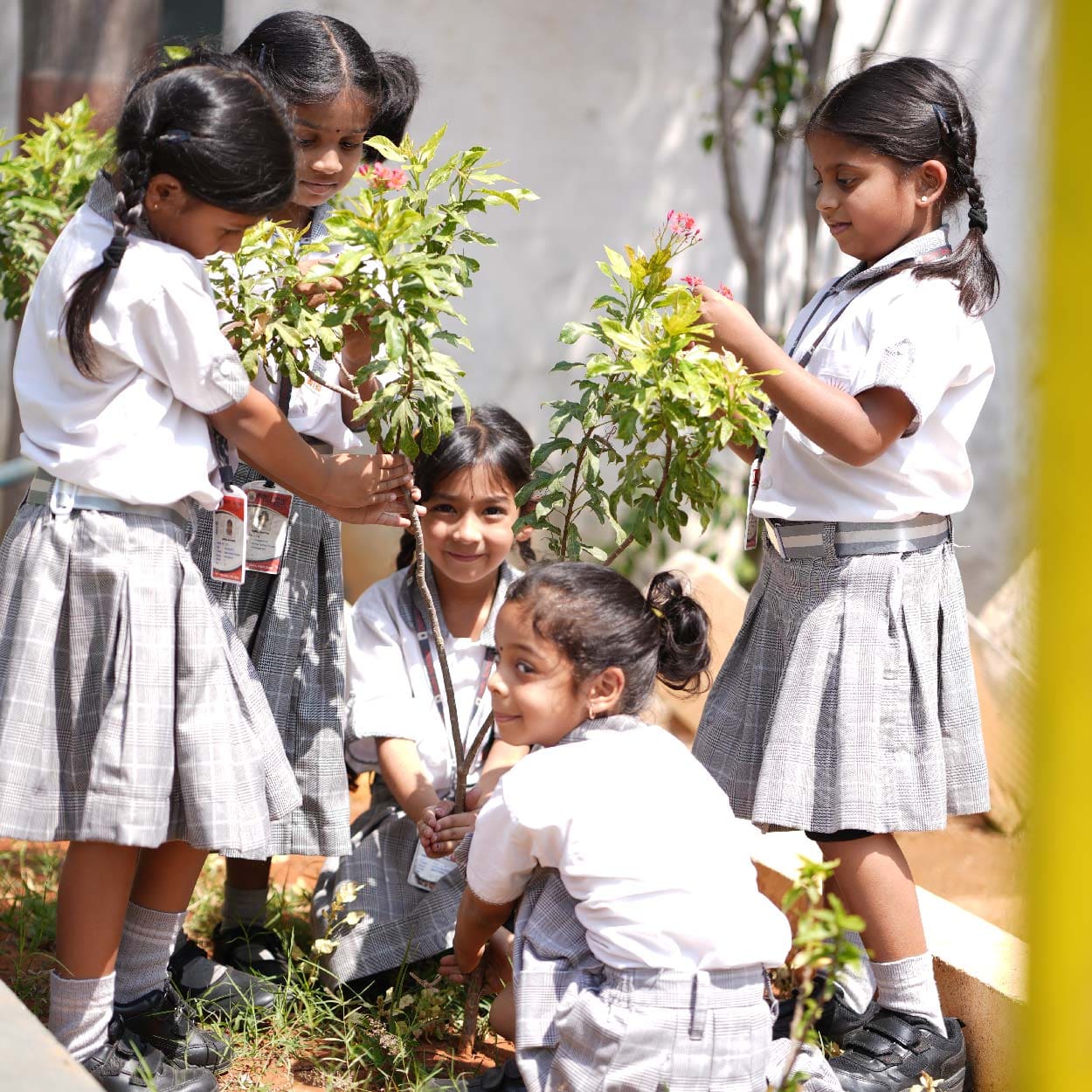 Delhi School campus 3