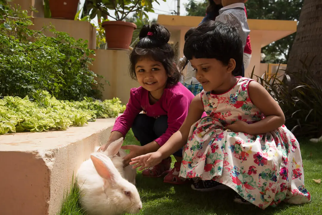 CHIREC International School campus 4