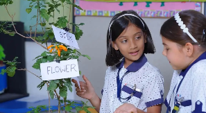 CHIREC International School gallery 21