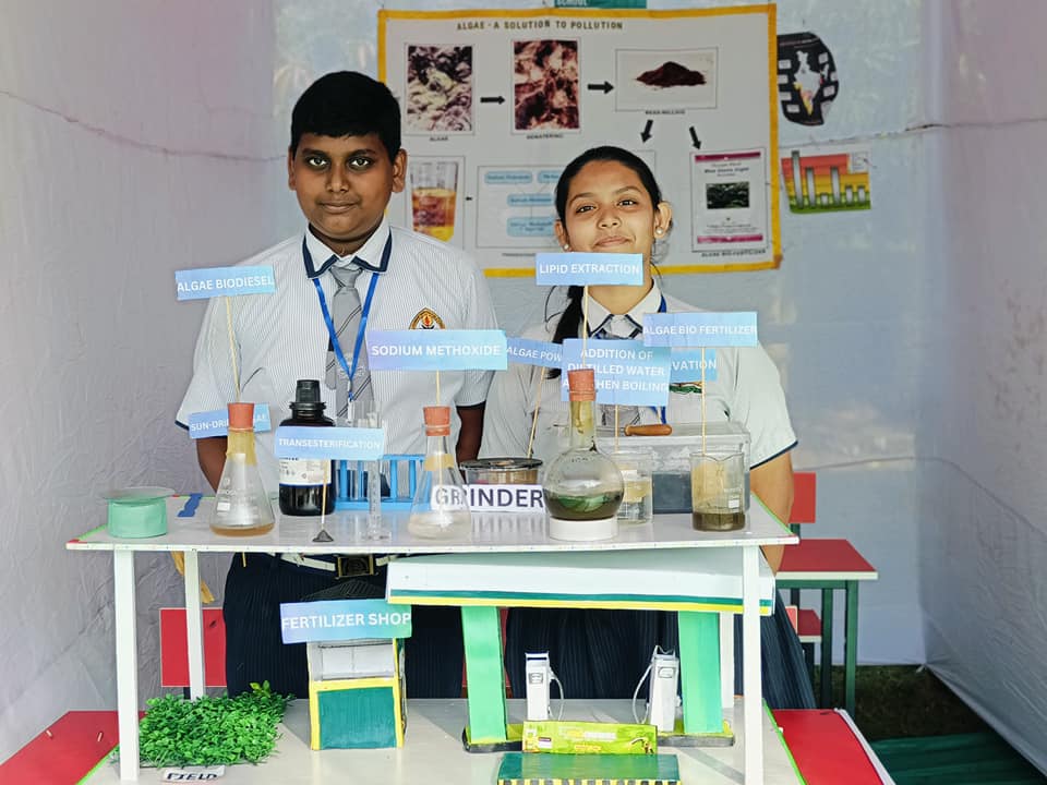 Royal Public School 8