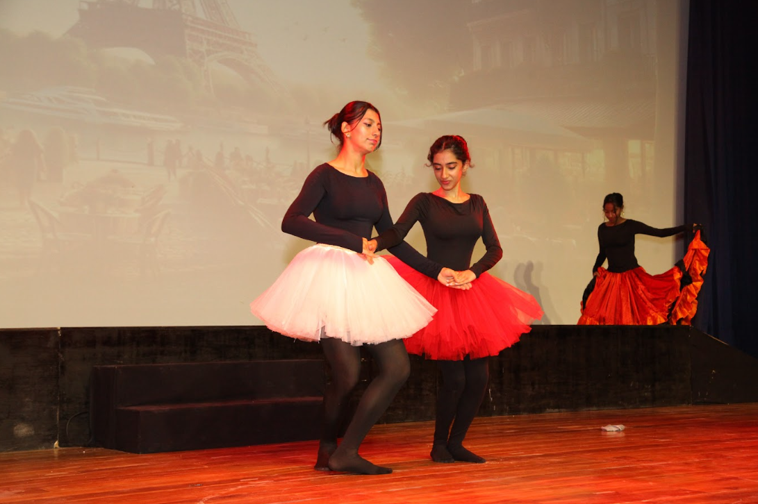 Delhi Public School 5