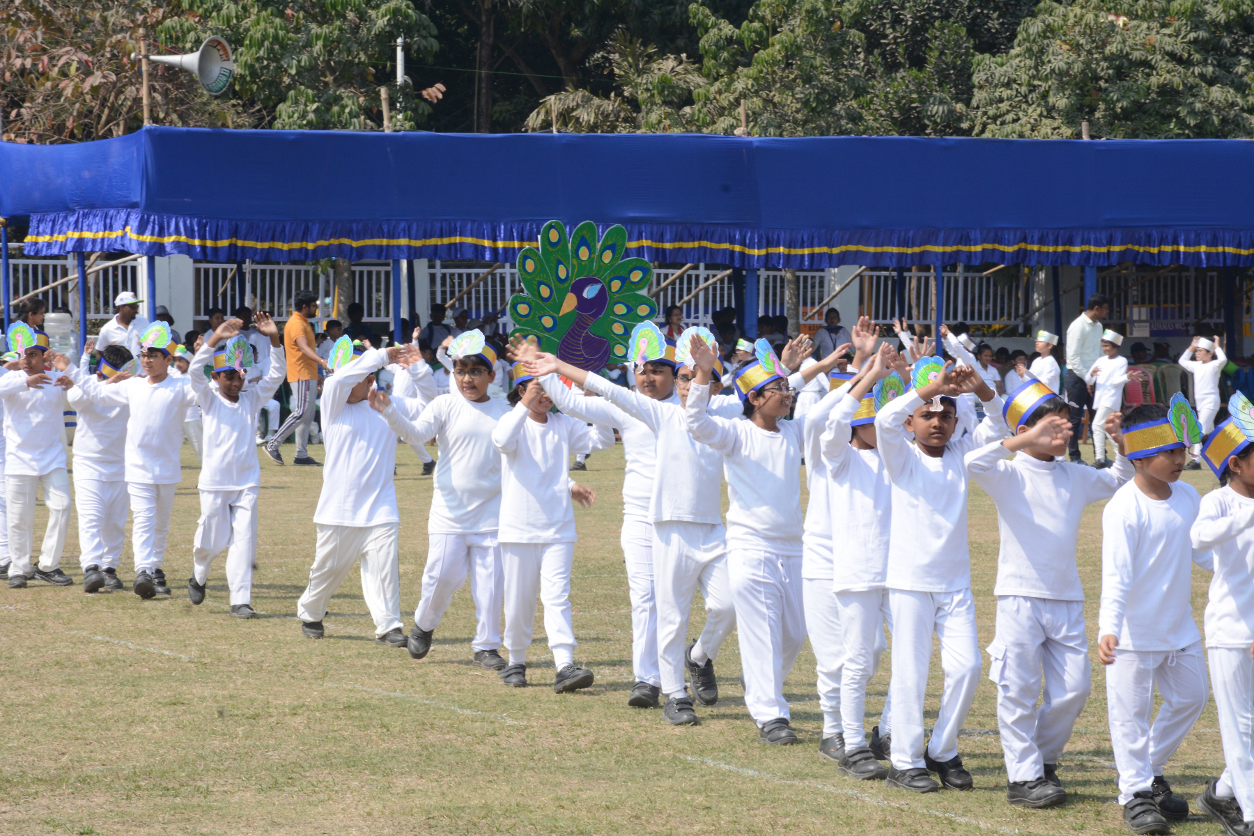Adamas World School 20