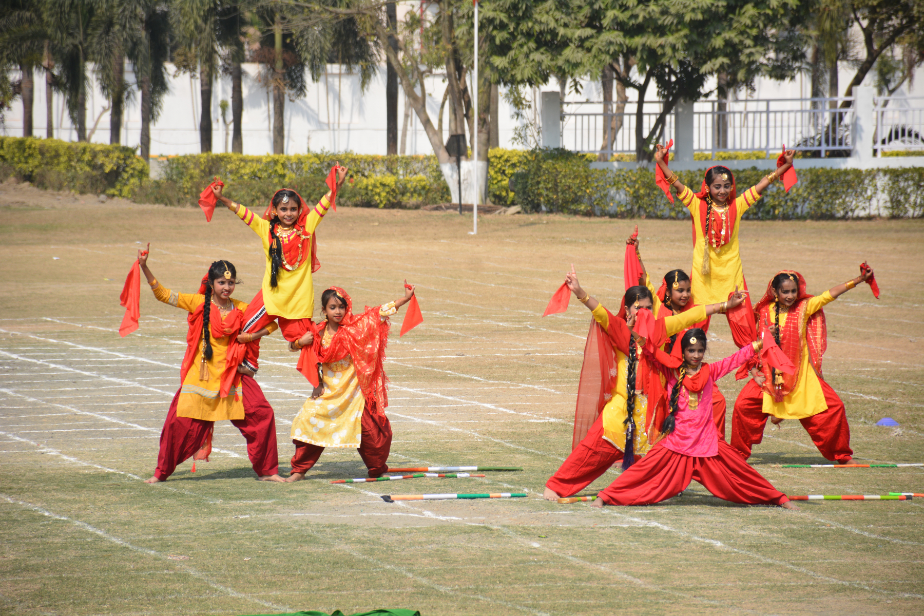 Adamas World School 27