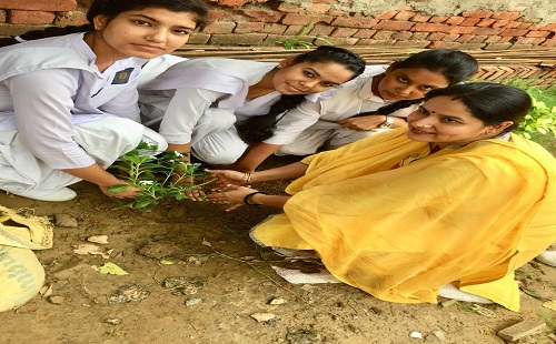 Indraprastha Convent Senior Secondary School campus 2