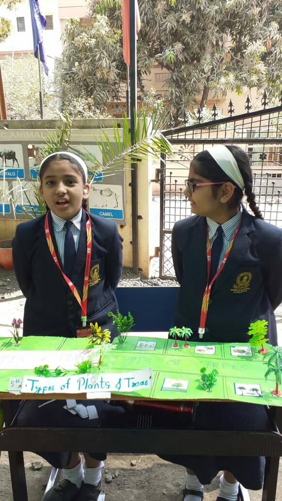 Sparkles International School 5